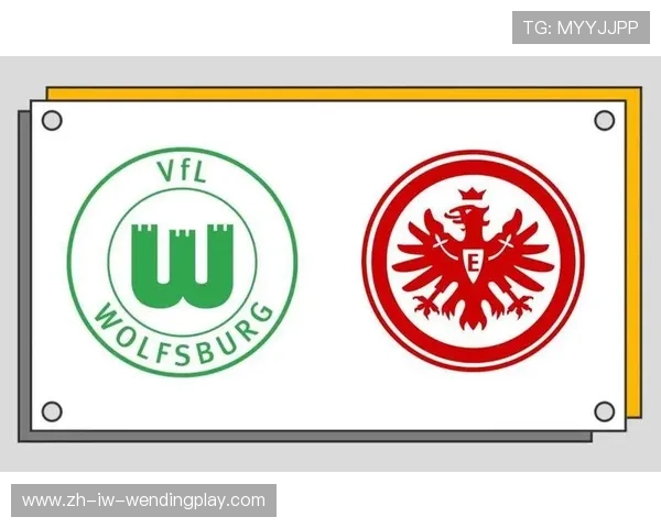 德甲俱乐部球队绰号及文化传承