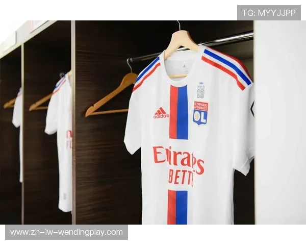 法甲2014赛季球衣款式全图集与设计亮点