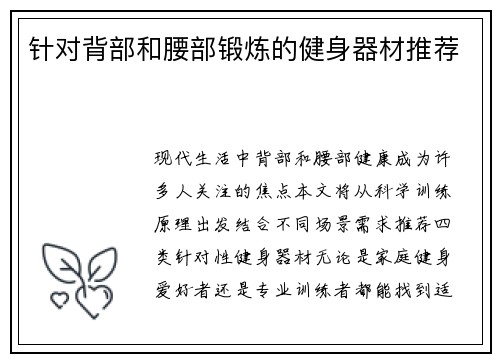 针对背部和腰部锻炼的健身器材推荐